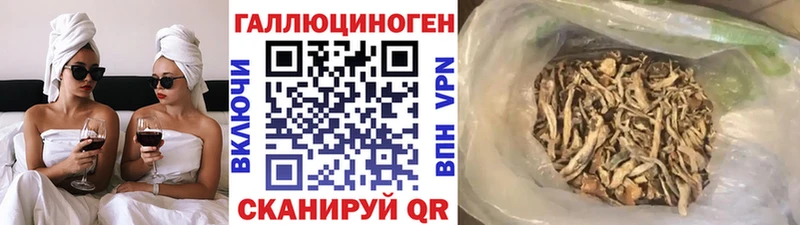 Галлюциногенные грибы MAGIC MUSHROOMS  Купить где  Озёрск 